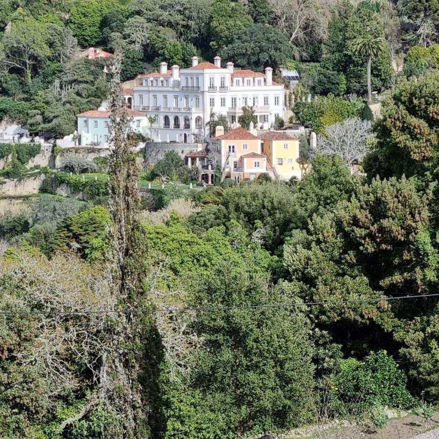 Quinta Da Bella Vista - Historic Home And Farm Sintra Exteriér fotografie